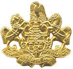 Load image into Gallery viewer, Penna Coat of Arms - Tactical Wear
